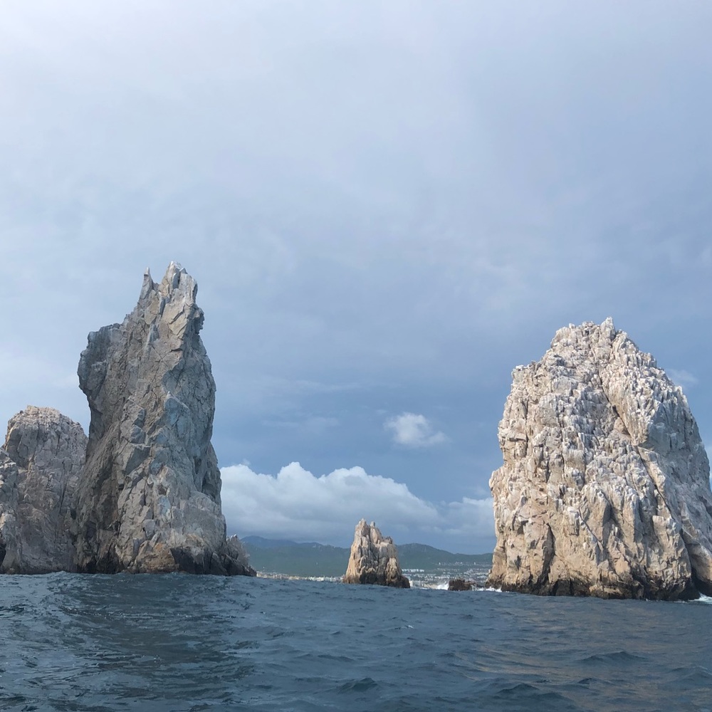 Meet your Posher, Erika